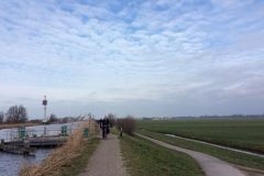 image1-1